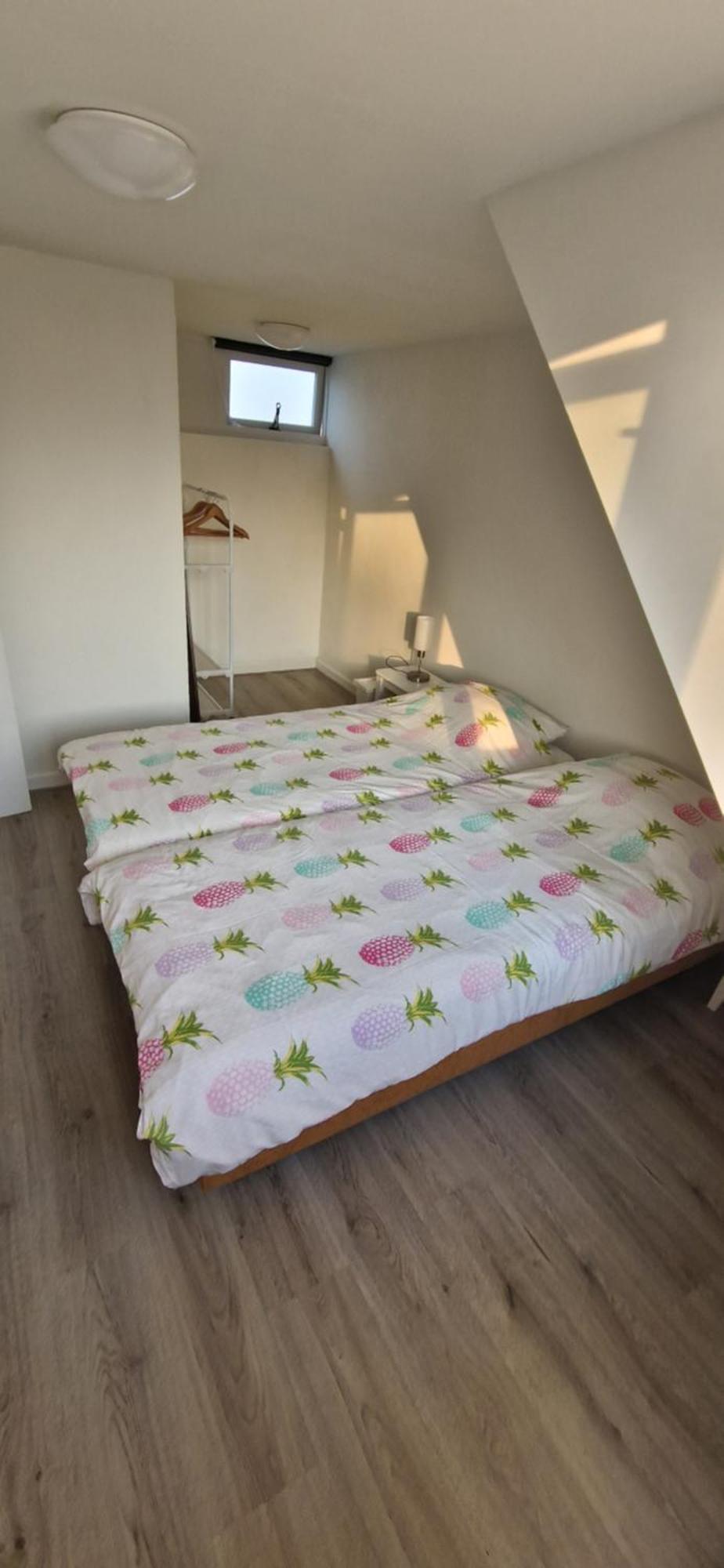 Der Springbrunnen Villa Egmond aan Zee Buitenkant foto